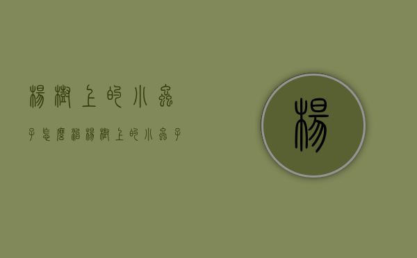 杨树上的小虫子怎么治（杨树上的小虫子怎么治疗）