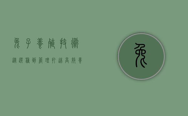 兔子养殖技术，从选种到管理，打造高效养殖模式