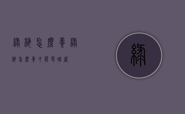 绿梅怎么养（绿梅怎么养才能更旺盛）