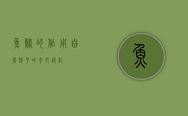 鱼鳍的作用，自然赋予的奇妙设计