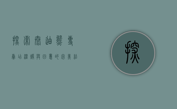 探索泰迪熊专卖店，温暖与回忆的完美结合