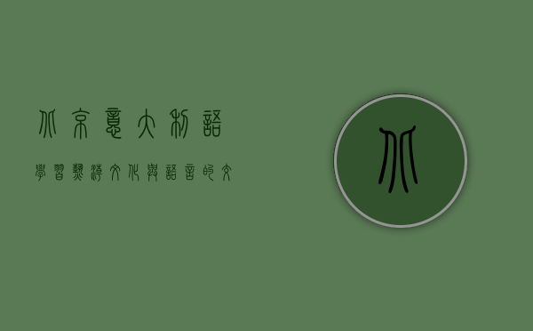 北京意大利语学习热潮，文化与语言的交汇之地