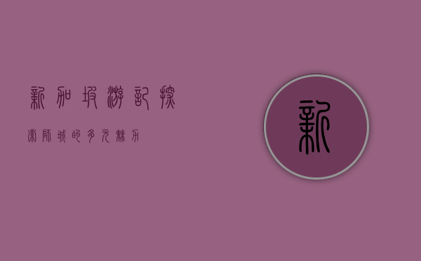 新加坡游记，探索狮城的多元魅力