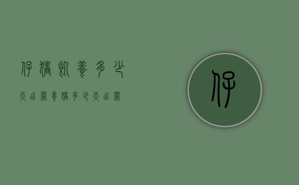 仔猪饲养多少天出栏（养猪多少天出栏?）