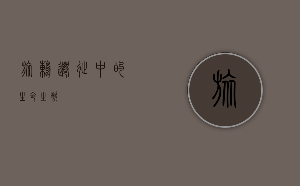 旅鸫，迁徙中的生命之歌