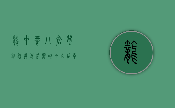 笼中养小仓鼠，从选择到照顾的全面指南