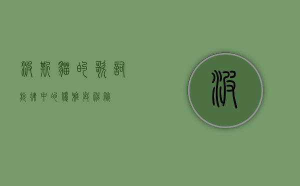 波斯猫的歌词，旋律中的优雅与神秘
