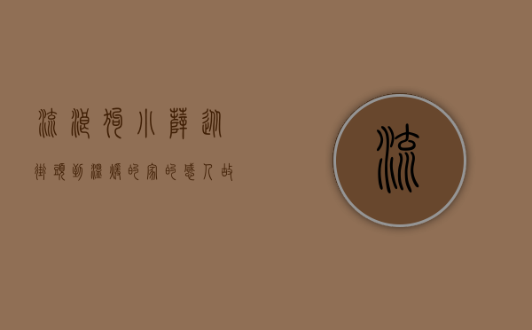 流浪狗小萨，从街头到温暖的家的感人故事