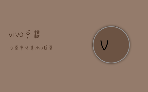 vivo手机后盖多少钱（vivo后盖一般多少钱）
