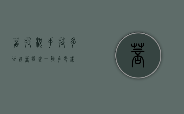 菩提根手持多少钱（菩提根一般多少钱）