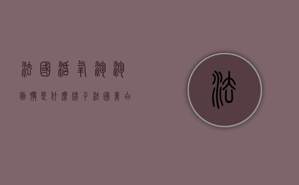 法国活氧泡泡面膜是什么牌子（法国美白面膜）