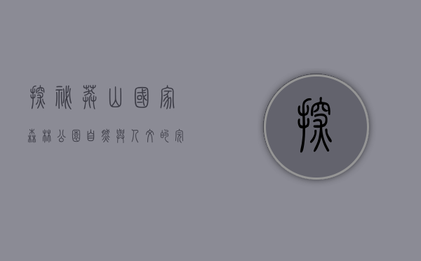 探秘莽山国家森林公园，自然与人文的完美融合