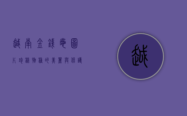 越南金钱龟图片，珍稀物种的美丽与保护