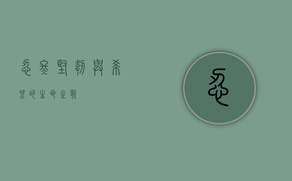 忍冬，坚韧与希望的生命之歌