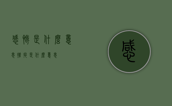 感慨是什么意思（搓捻是什么意思）