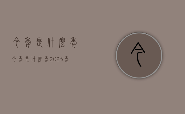 今年是什么年（今年是什么年2023年属什么年）