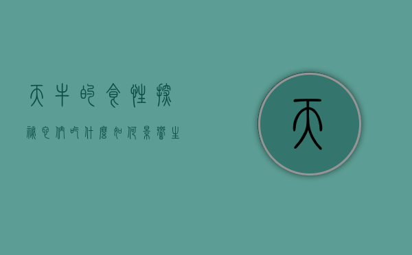 天牛的食性探秘，它们吃什么，如何影响生态系统？