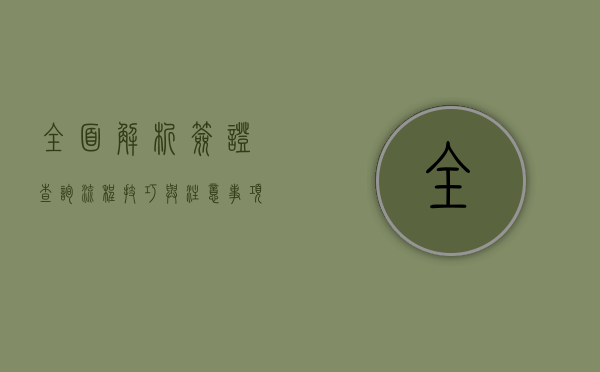 全面解析签证查询，流程、技巧与注意事项