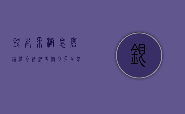 银杏果树怎么种植方法（银杏树的果子怎么种植）
