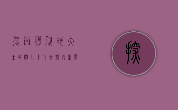 探索神秘的大王花，图片中的奇观与生态意义