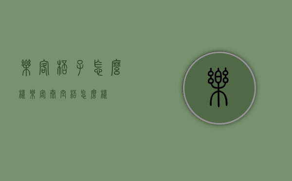 乐客杯子怎么样（乐客太空杯怎么样）