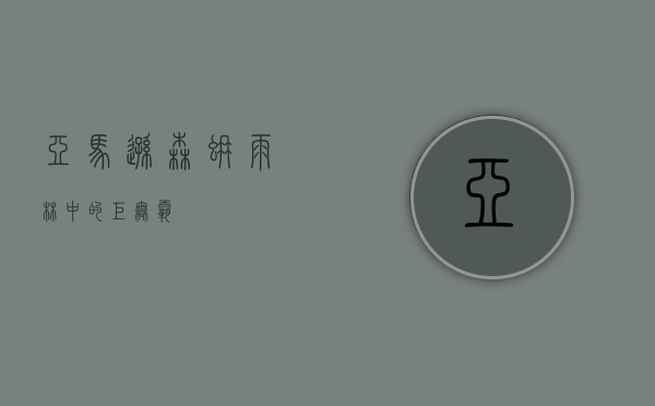 亚马逊森蚺，雨林中的巨无霸