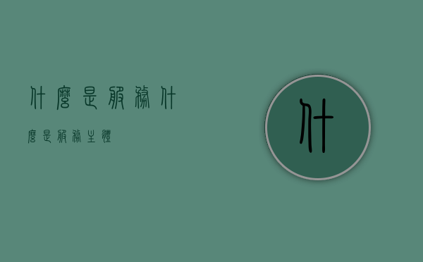 什么是服务（什么是服务主体）