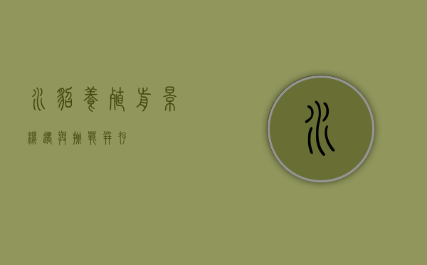 水貂养殖前景，机遇与挑战并存