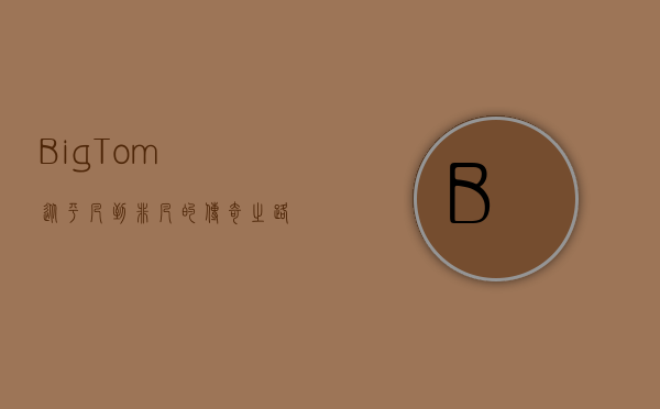 BigTom，从平凡到非凡的传奇之路
