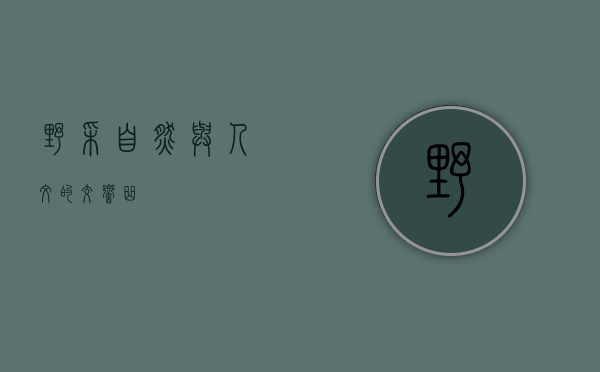 野采，自然与人文的交响曲