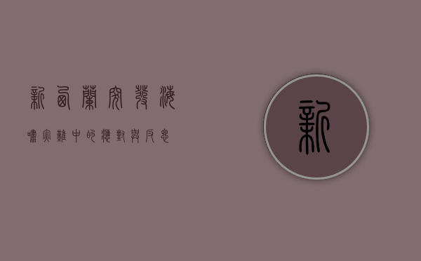 新西兰突发海啸，灾难中的应对与反思