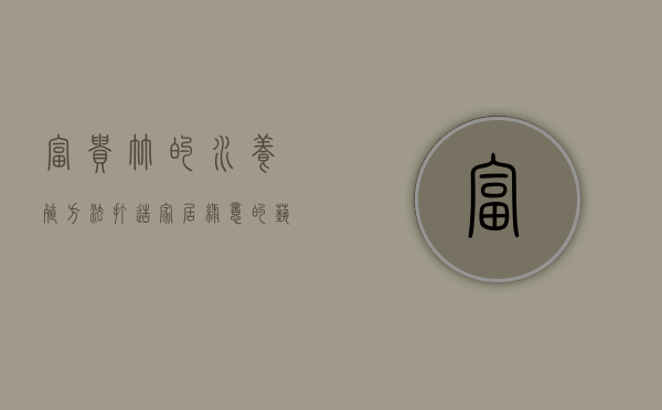 富贵竹的水养殖方法，打造家居绿意的艺术