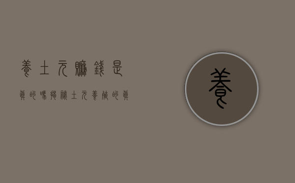 养土元赚钱是真的吗？揭秘土元养殖的真相与风险