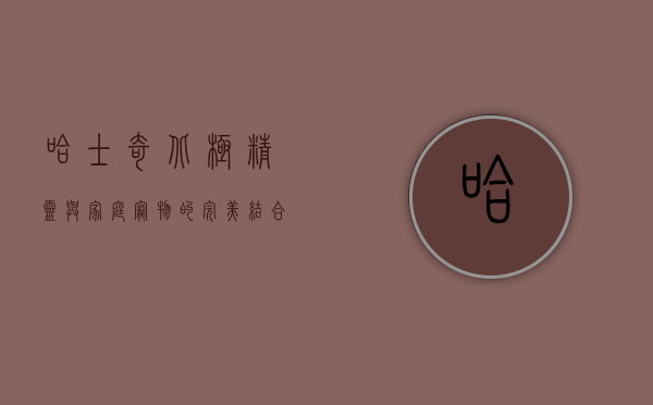 哈士奇，北极精灵与家庭宠物的完美结合