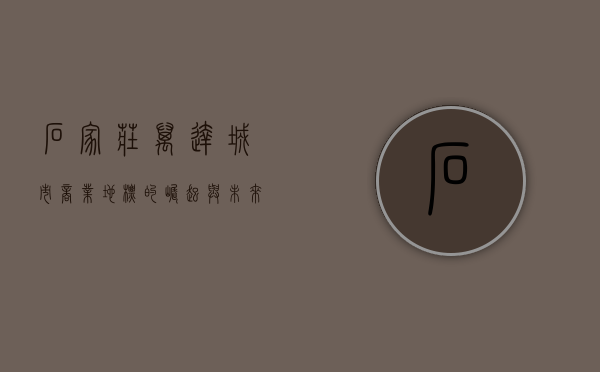 石家庄万达，城市商业地标的崛起与未来展望
