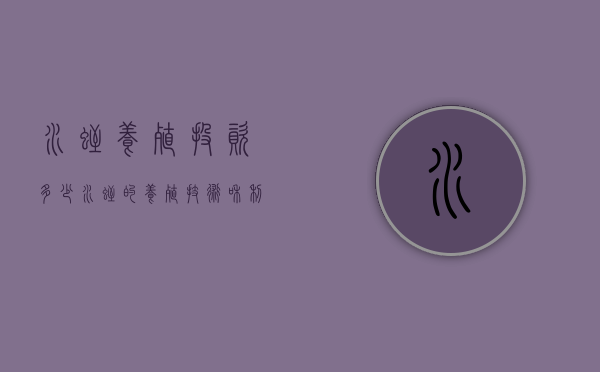 水蛭养殖投资多少（水蛭的养殖技术和利润）
