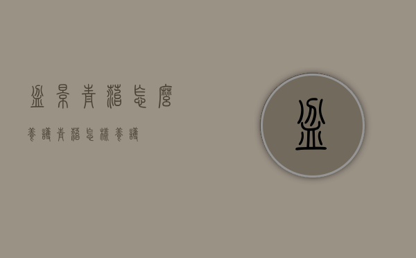 盆景青苔怎么养护（青苔怎样养护）