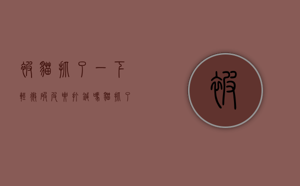 被猫抓了一下轻微破皮要打针吗？全面解析与应对指南
