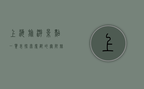 上海旅游景点一览表，探索魔都的无限魅力