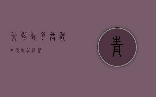 青枫，岁月长河中的自然诗篇