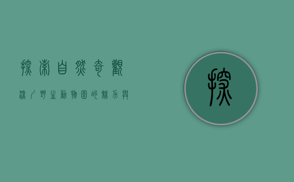 探索自然奇观，深圳野生动物园的魅力与教育意义