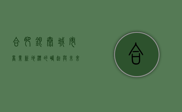 合肥银泰，城市商业新地标的崛起与未来展望