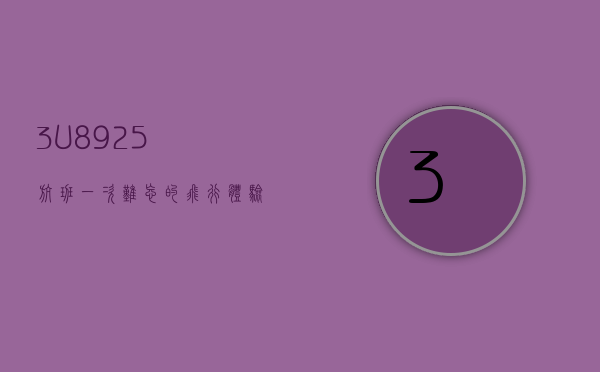 3U8925航班，一次难忘的飞行体验与航空旅行的深度思考