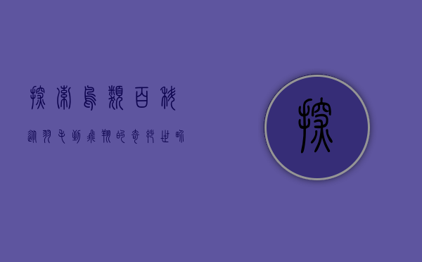 探索鸟类百科，从羽毛到飞翔的奇妙世界