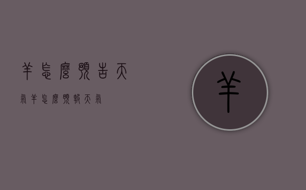 羊怎么预告天气（羊怎么预报天气）