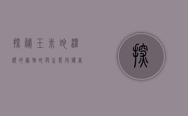 探秘玉米蛇，温顺的宠物蛇与生态守护者