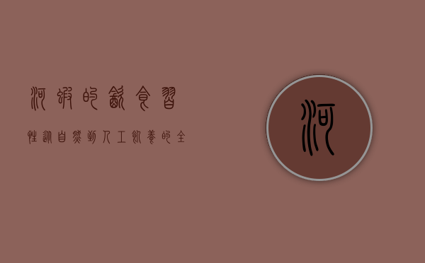 河虾的饮食习性，从自然到人工饲养的全面解析