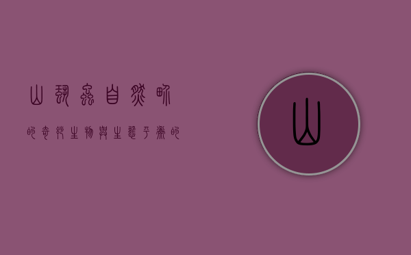 山蛩虫，自然界的奇妙生物与生态平衡的守护者