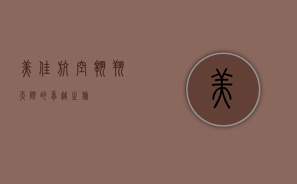 美佳航空，翱翔天际的卓越之旅