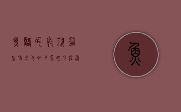 鱼鳍的奥秘，从生物学到文化象征的探索